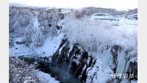 [청계천 옆 사진관] 사진기자가 소개하는 ‘인생 샷’ 포인트 ③ 홋카이도 세 번째 명소