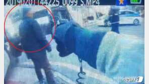 “교도소 가고 싶어”…흉기 난동 50대 테이저건 쏴 체포