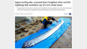 日해안서 4m 대형 산갈치 잇따라 잡혀…“대지진 전조현상?” 술렁