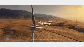 NFL 슈퍼볼 TV광고 30초에 58억8000원 사상최고…버드와이저 ‘큰손’