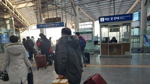 예년같지 않은 설명절 분위기…“전보다 티켓 구하기 쉬워졌어요”