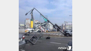 세종서 SUV승용차 신호등 기둥 추돌…운전자 부상