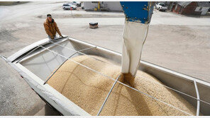 中 국영기업, 미국산 대두 200만t 구매…“양국간 합의 이행”