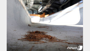 1144억원 들여 16일 사용하고 폐쇄된 평창동계올림픽 썰매 경기장