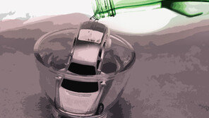 20대 외아들, 설 맞아 고향가던 길 음주운전 차량에 참변 