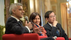 런던·베를린·파리도 미세먼지 골치…대책 모색 골몰