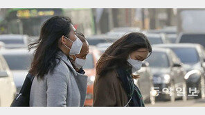 설 연휴 마지막 날, 흐리지만 평년보다 따듯…미세먼지는 ‘나쁨’
