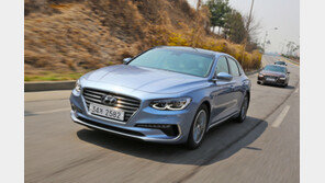 2019년 1월 국산·수입차 성적표는?