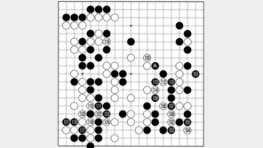 [바둑]알파고 vs 알파고 특선보… 거대한 패