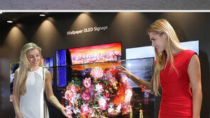 웅장하게 투명하게… 상업용 디스플레이 경쟁 후끈