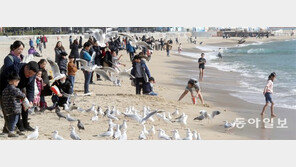 겨울바다에 두 발 담그고… 포근한 설연휴