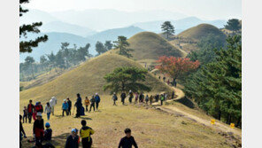 가야고분 세계유산 되나…세계유산센터에 ‘잠정목록’ 제출