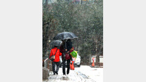 강원영동 중북부 대설주의보…동해 풍랑주의보