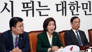 나경원 “정부, 北 비핵화 깜깜이 전략…큰 그림 내놔야”