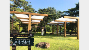 공원에서 작은 결혼식 어때요…예비부부 144쌍 모집