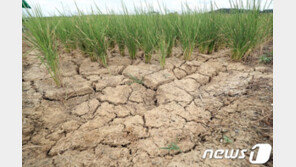 사상 최강 한파에 폭염까지…2018년 이상기후 피해 컸다