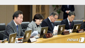 이낙연 총리 “북미정상회담, 비핵화·평화정착 의미있는 진전 기대”