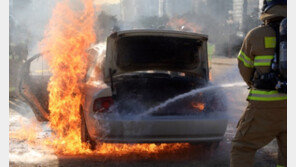 “올해 설 연휴, 작년보다 안전사고 덜 났다”…日평균 382건꼴