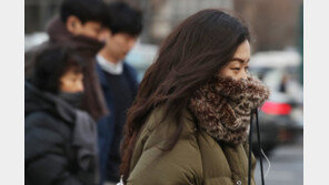 한반도 극단적 사계절…겨울은 역대 최저-여름엔 41도