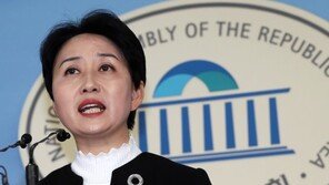 평화당 “북미회담 날짜 둘러싼 한국당 상상력이 가관”