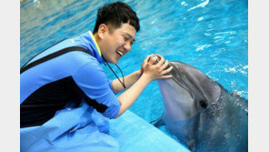 “말을 하면 직접 물어볼텐데…” 돌고래 ‘태지‘는 어디로 가야할까