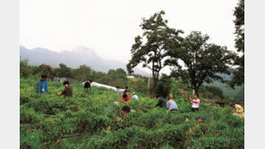 도시민 10명 중 3명 “은퇴 후 귀농 의향있다”