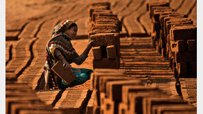 AP사진전 “너를 다시 볼 수 있을까”