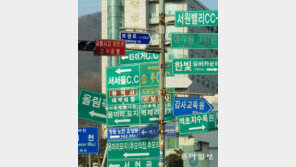 [고양이 눈]어디로 가야 하나요?