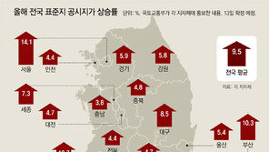 집값 이어 전국 공시지가도 9.5% 상승…2배로 뛴 명동 중심 ㎡당 1억8300만원