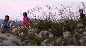 [눈과 귀가 즐거운 문화생활]영화 시인 할매 外