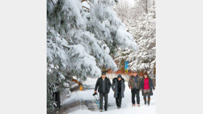 함께 핀 눈꽃과 매화… 8일은 서울 영하 10도 한파