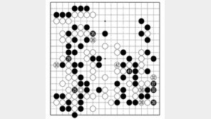 [바둑]알파고 vs 알파고 특선보… 중단 없는 패