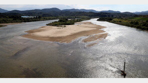 환경부 “4대강 보 개방 18개월 만에 하천 자정능력 최대 9.8배 강화”