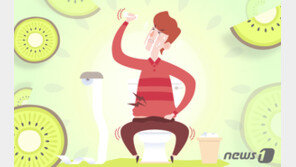 매일 키위 2개씩 먹으면 ‘변비’에 효과