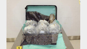 여행가방에 장어 25만 마리…공항서 딱 걸린 한국인