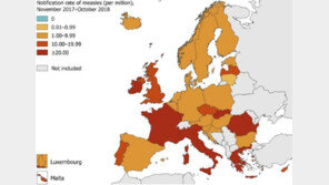 WHO “지난해 유럽 홍역 사망 72명”…전년比 71%↑