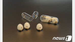 MIT·하버드의대, 알약처럼 먹는 인슐린캡슐 개발에 성공