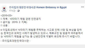 이집트 여행 한국 여성, 낙타에서 떨어져 사망 “갑자기 날뛰었다”