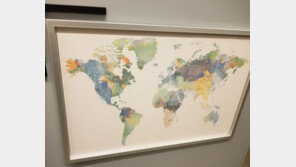 3만원 짜리 이케아 세계지도에 ‘이 나라’가 없다…진짜 일부러?