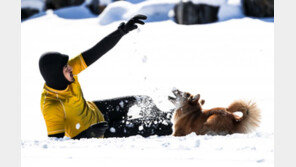 [청계천 옆 사진관]“바다 속은 따뜻해요”…눈내린 동해, 서핑하기 좋은 날 