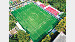 인조잔디 ‘KS 인증’-유해성 기준 강화에 충격흡수성까지 잡았다