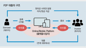 투자 부담 낮추고 대출 안전성 높인 부동산 P2P ‘포켓펀딩’