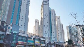 투기 규제 피한 뭉칫돈 몰리고… 지역내 ‘小강남’ 양극화 반짝