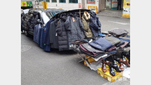 [고양이 눈]거리의 ‘예술카’