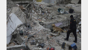 터키 아파트 붕괴 사망자 15명으로 늘어…9명은 친척관계