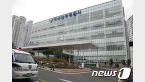 도로 한복판서 선배 업어치고 얼굴 마구 때린 조폭 입건