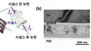 인간의 뇌를 닮은 반도체 ‘뉴로모픽 칩’의 시냅스 구현