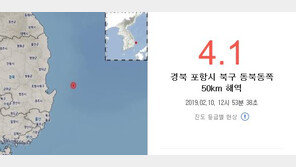포항 북구 50km 해역서 규모 4.1 지진…“미묘하게 흔들”