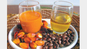 석유 대신 ‘바이오중유’로 발전기 돌린다