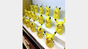 [고양이 눈]시선